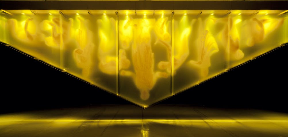 Gold by David Spriggs