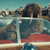Still from Virgin Media O2 ad featuring a walrus driving a boat